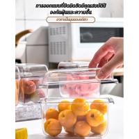 ราคา 【เย็นทันใจ+จัดเก็บอาหารเป็นสัดส่วน】JS กล่องแช่เย็นแบบแบ่งช่อง ปาร์ตี้/ปิกนิก กระติกน้ำแข็งเก็บอาหารสด กระติกแช่ของเย็นพกพาสะดวก (52107049249)