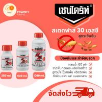 ราคา Chaindrite เชนไดร้ท์ สเตดฟาส 30 เอสซี น้ำยากำจัดปลวก แบบเข้มข้น ผสมน้ำ 60 เท่า (19994384750)