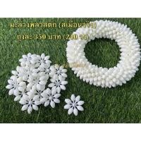 ราคา มะลิวงใหญ่ 4cm.พลาสติก(เสมือนจริง) ปลีก-ส่ง (14388185550)