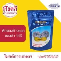 ราคา ฟักทอง เมล็ดฟักทอง ลายข้าวตอก ทองคำ 443 เมล็ดพันธุ์ ฟักทอง ลูกผสม ตรา เจียไต๋ บรรจุ 100 กรัม (55650731482)