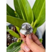 ราคา น๊อตแผงคอ VR-150/ VR- R/TZR-150/ TZR-R/TZM-150 งานสแตนเลสแท้ สวยงาม ทนทาน ตรงรุ่นติดตั้งง่าย (27744248973)