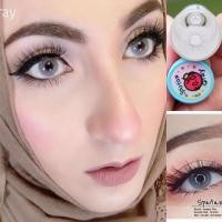 ราคา sweetyplus Spatax gray (17941600962)