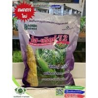 ราคา ข้าวโพดหวานไฮบริกซ์ 72 ขนาด 1 กิโลกรัม (14842762097)