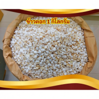 ราคา ข้าวตอก คั่วใหม่จากโรงงาน 1 กิโลกรัม สำหรับงานพิธีต่างๆ เลี้ยงกระดิ่งเงินกระดิ่งทอง (40868299946)