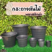 ราคา (พร้อมส่ง) กระถางพลาสติก ดำ กลม กระบองเพชร แคตตัส สีดำ 2นิ้ว 3นิ้ว 4นิ้ว 5นิ้ว 6นิ้ว 8นิ้ว (13103748164)