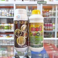 ราคา (ชุด2ขวด) 13-13-21 ขนาด 1 ลิตร ขยายผล + เคอรี่ น้ำตาลทางด่วน ผสมอะมิโนบวกวิตามิน ขนาด 1 ลิตร ช่วยผสมเกสร (25654164186)
