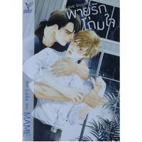 ราคา นิยายวายมือสอง#LoveStormโดยMAME (23825737529)