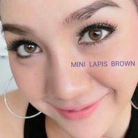 ราคา Dreamcolor | Mini Lapis Brown 0.00 (9523104765)