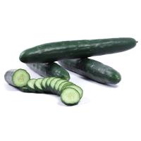 ราคา 35 เมล็ด แตงร้าน แตงชั้ง แตงขี้ไก่ แตงขี้ควาย Cucumber Seeds สายพันธุ์ แตงกวาญี่ปุ่น (43473676595)