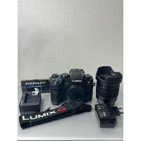 ราคา PANASONIC_LUMIX_DC-G90 (52955711636)