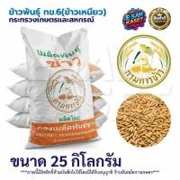 ราคา เมล็ดพันธ์ุข้าว ตรากรมการข้าว พันธุ์ข้าวหอมมะลิ105 / กข15 บรรจุ 6กก./19กก./25กก.เมล็ดพันธุ์ ข้าวปลูก (18118786576)