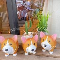 ราคา กระถางดินเผา น้องหมาคอร์กี้ ใส่ต้นไม้ ประดับห้อง (4819767346)
