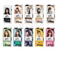 ราคา Liese creamy bubble color โฟมเปลี่ยนสีผมลิเซ่ โฉมใหม่ (6003472037)
