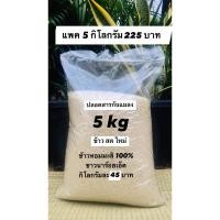 ราคา ข้าวสารหอมมะลิ 100% ข้าวสารพื้นบ้าน ร้อยเอ็ด บรรจุ 5 กิโลกรัม เพียง 225 บาท ชาวนาสีเอง ปลอดสารกันแมลง ข้าวใหม่ ปี 66 (15811780041)