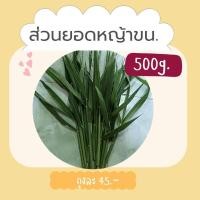 ราคา ส่วนยอดหญ้าขน 500g. สำหรับสัตว์เลี้ยง แกสบี้ ตะเภา กระต่าย (23768647175)