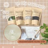 ราคา ชุดอุปกรณ์จัดสวนขวดแก้วมินิทรี-ทรงกลม ฝาใส (22437610548)