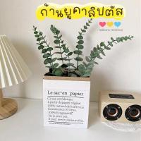 ราคา ยูคาลิปตัสก้านเดี่ยว ยูคาลิปตัสปลอม ยาว 30 ซม พร้อมส่งจากไทย (19682287405)