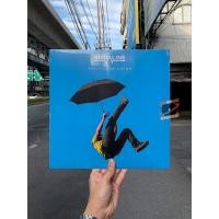 ราคา แผ่นเสียง Kodaline ‎– Politics Of Living (Vinyl) (14697474360)