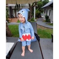 ราคา ชุดว่ายน้ำเด็กผู้ชาย ชุดว่ายน้ำเด็กลายปลาฉลาม ชุดว่ายน้ำเด็กเล็ก ชุดว่ายน้ำเด็กรุ่นขายดี สีฟ้าเทา (1112992683)