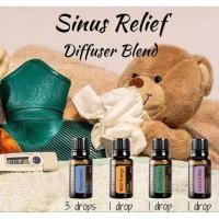 ราคา Eucalyptus & Peppermint & Lavender & Wild Orange Essential Oils (29935388686)