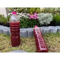 ราคา จุลินทรีย์สังเคราะห์แสง(Photosynthetic Bacteria - PSB) (40528111221)