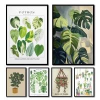 ราคา ภาพพิมพ์ศิลปะใบไม้สีเขียว - ผ้าใบแต่งผนังธรรมชาติสำหรับบรรยากาศบ้านที่สงบ | โปสเตอร์ไม้ประดับและใบร่มรื่น (45501970015)