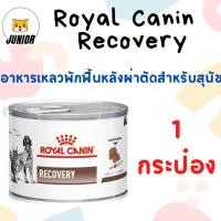 ราคา Royal Canin Recovery อาหารกระป๋องสำหรับสัตว์พักฟื้น​ 195​g. (แบ่ง 1 กระป๋อง) (25966115775)