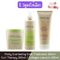 ราคา Molly Everlasting Ends Treatment 500ml / Curl Therapy 200ml / Collagen Leave-In 250ml มอลลี่ บำรุงผม (24421968235)