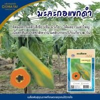 ราคา เมล็ดมะละกอแขกดำ PAPAYA ตราเจียไต๋ เมล็ดพันธุ์มะละกอ เมล็ดมะละกอ เมล็ดพันธุ์ผักสวนครัว เจียไต๋ (6858885187)
