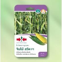 ราคา เมล็ดข้าวโพดหวาน จัมโบ้สวีท (ซอง) ศรแดง (44855937925)