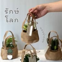 ราคา ต้นไม้มงคล&ของชำร่วย รักษ์โลก ถุงกระสอบพร้อมต้นไม้กระถางมะพร้าวอัด--มีราคาสำหรับจัดเป็นของชำร่วย ของที่ระลึก จำนวนเยอะๆ (51502683465)