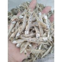 ราคา ปลาจิ้งจั้ง ปลาฉิ้งฉั้ง ปลากะตัก ของดีเพชรบุรี (25290300681)