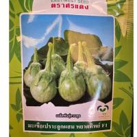 ราคา มะเขือเปราะลูกผสม หยาดทิพย์F1 20g ตราศรแดง (44501899847)