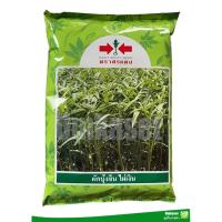 ราคา เมล็ดพันธุ์ ผักบุ้งจีนไผ่เงิน ( 1 กิโล ) ตราศรแดง (26011236556)