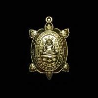 ราคา เต่าจิ๋ววัดไร่แตงทอง ปี2563 เนื้อทองเหลือง (56657216269)