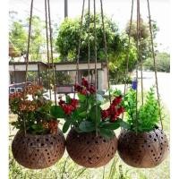ราคา กระถางดอกไม้แบบแขวน, กระถางดอกไม้กะลามะพร้าว, กระถางดอกไม้เฉพาะ, กระถางกะลามะพร้าว, กระถางแขวน, กระถางดอกไม้ (25020013787)