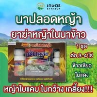 ราคา นาปลอดหญ้า ยาฆ่าหญ้าในนาข้าว ข้าวเขียว ข้าวไม่แดง หญ้าเกลี้ยง❗❗ (20089774661)