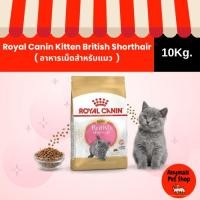 ราคา ( 10Kg. ) อาหารเม็ดแมว Royal Canin Kitten British Shorthair (48209450272)