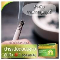 ราคา Wealthy Health PM Lung Support อาหารเสริมบำรุงสุขภาพปอด 60 แคปซูล. (4715267912)