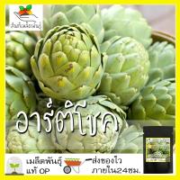 ราคา เมล็ดพันธุ์ อาร์ติโชค 30 เมล็ด Green Globe Artichoke seed เมล็ดพันธุ์แท้ นำเข้าจากต่างประเทศ100% ดอกไม้ ผัก สวนครัว ถูก (6272253775)
