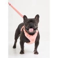 ราคา PAWSQUAD Basics Harness | Coral Peach ชุดรัดอก เสื้อ น้องหมา น้องแมว (28713957512)