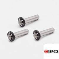ราคา Flow Energy - NO12691 อะไหล่ หัวปั๊มใหม่ ชุด Plunger M6,M9,B2 (40519820782)