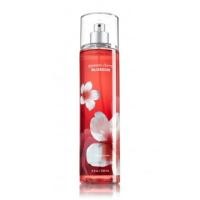 ราคา Bath & body works japanese cherry blossom (42800704)