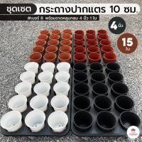 ราคา ชุดเซตกระถางปากแตร 10 ซม. #เบอร์8 15 ใบ พร้อมถาดหลุมกลม 4 นิ้ว 1 ใบ (6579169055)
