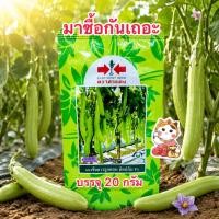 ราคา ท็อปกัน เมล็ดพันธุ์มะเขือยาว ตราศรแดง (สิ้นอายุ01/71) บรรจุ20กรัม/ซอง (43261668214)