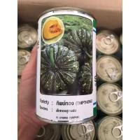 ราคา ฟักทองลายข้าวตอกทิพย์ทอง เนื้อแน่น ปลูกได้ทุกฤดู (28053353358)