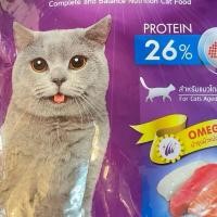 ราคา Catty Cat อาหารแมว แคทตี้ แคท อาหารเม็ด 20 Kg. (27274123818)