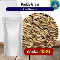 ราคา Paddy rice ข้าวเปลือกยาว สำหรับนก กระต่าย หนูและสัตว์ฟันแทะ (กระสอบ 10KG) (21776215308)