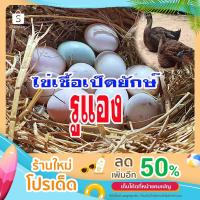 ราคา ไข่เชื้อเป็ดยักษ์รูแอง (Rouen Duck) เป็ดลุนดั๊ก (ไข่ใหม่) สำหรับนำไปฟัก (16842846912)