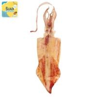 ราคา [ส่งฟรี] หมึกศอก 12-14 นิ้ว ตัวใหญ่ หมึกไหว้เจ้า 1 ตัว (25359526893)